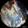 BRESSER Analyth STR 10x - 40x Stéréomicroscope thumbnail