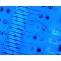 [AM4115-FVT] Dino-Lite Digital Microscope (USB 2, 1.3MP) UV LED 400nm) - 20-220x thumbnail