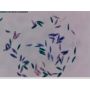 [AF7515MZTL] Dino-Lite EDGE  Digital Microscope (USB 2, 5MP) FLC / LWD / POL +WiFi-Ready - 10-140x thumbnail