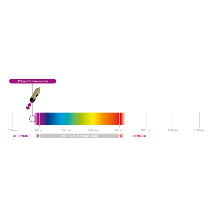 [AM4113T-FV2W] Dino-Lite Premier Digital Microscope (USB 2, 1.3MP) UV 375nm LED - 10-70x & 200x