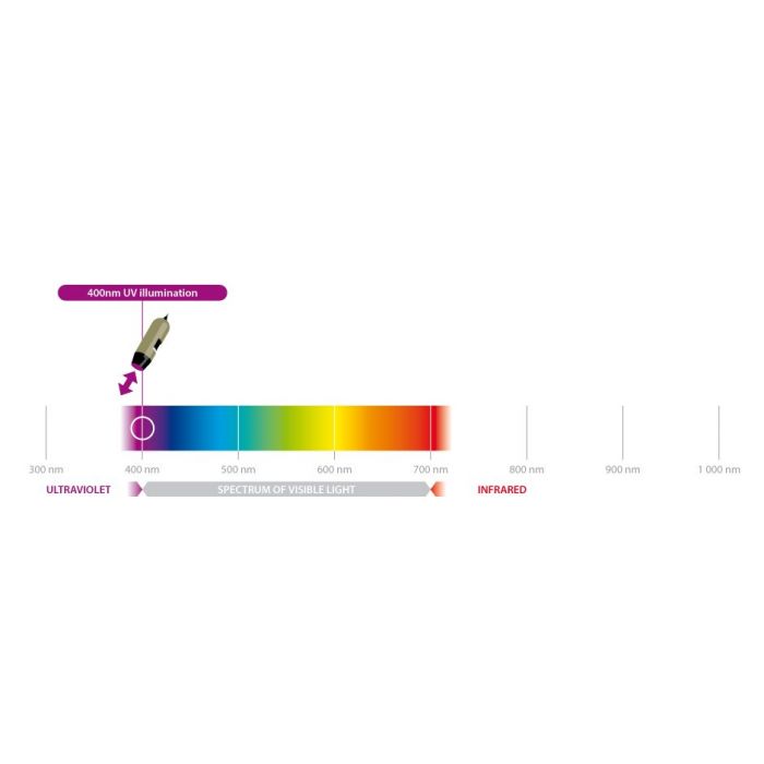 [AM4115T-FVW] Dino-Lite Digital Microscope (USB 2, 1.3MP) UV LED 390-400nm - 20-220x