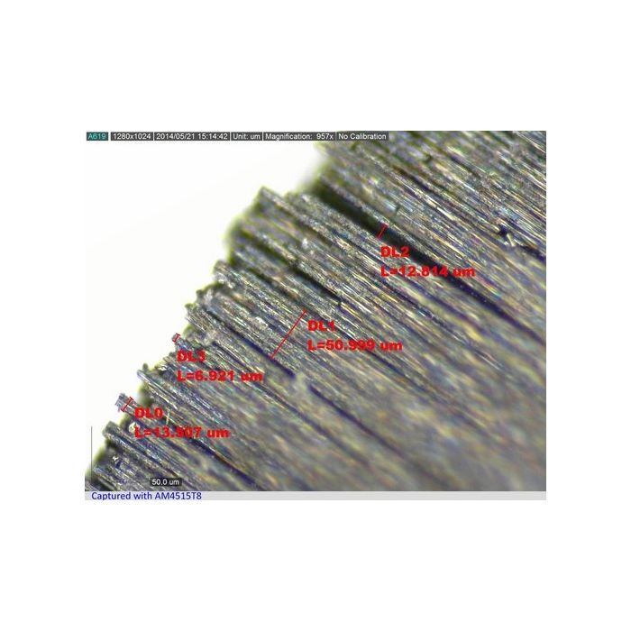 [AM4515T8] Dino-Lite Digital Microscope (USB 2, 1.3MP) AMR - 700-900x