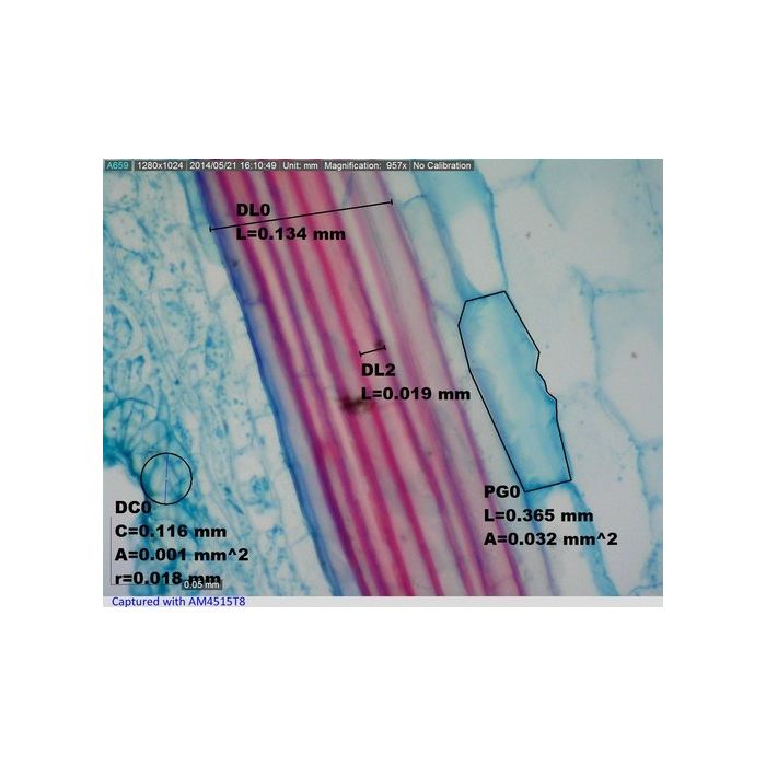 [AM4515T8] Dino-Lite Digital Microscope (USB 2, 1.3MP) AMR - 700-900x